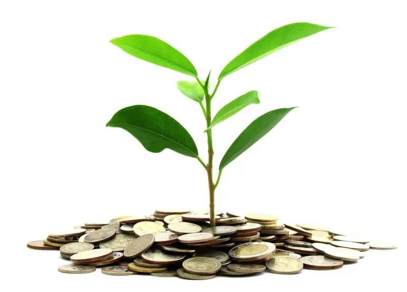 Инвестиции SKF в сохранение экологии | Свежие новости в Перми