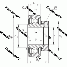 Подшипник GRAE 50-NPP-B в Перми